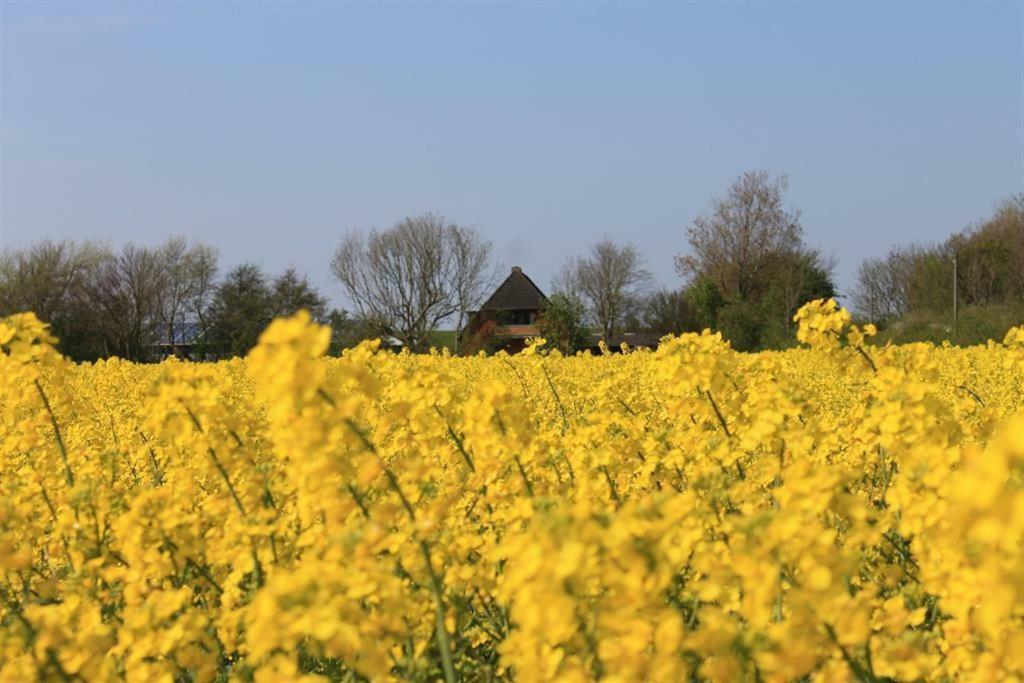 Ferienhof Am Deich Tumlauer Koog Екстер'єр фото